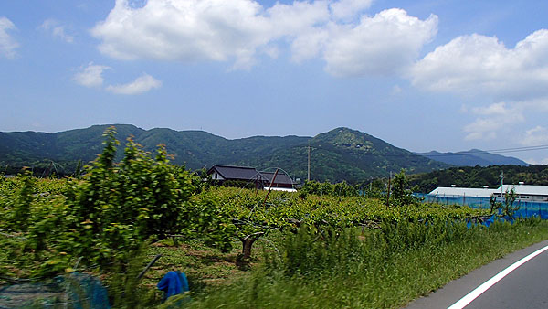 茨城県